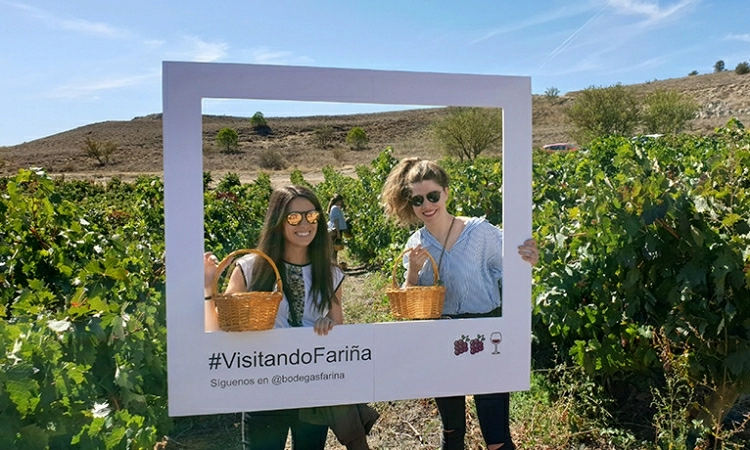 Visits during harvest