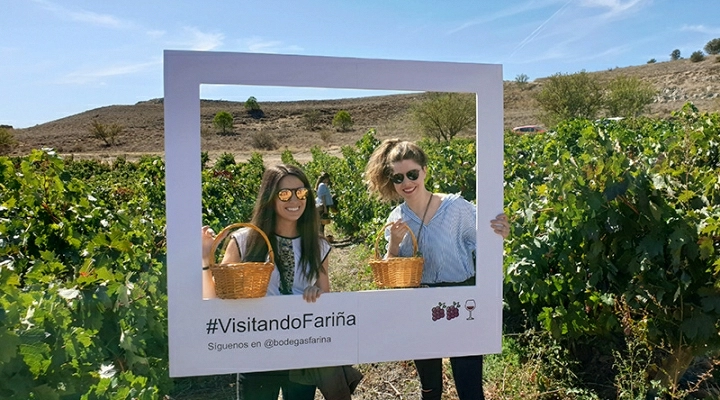 Visits during harvest