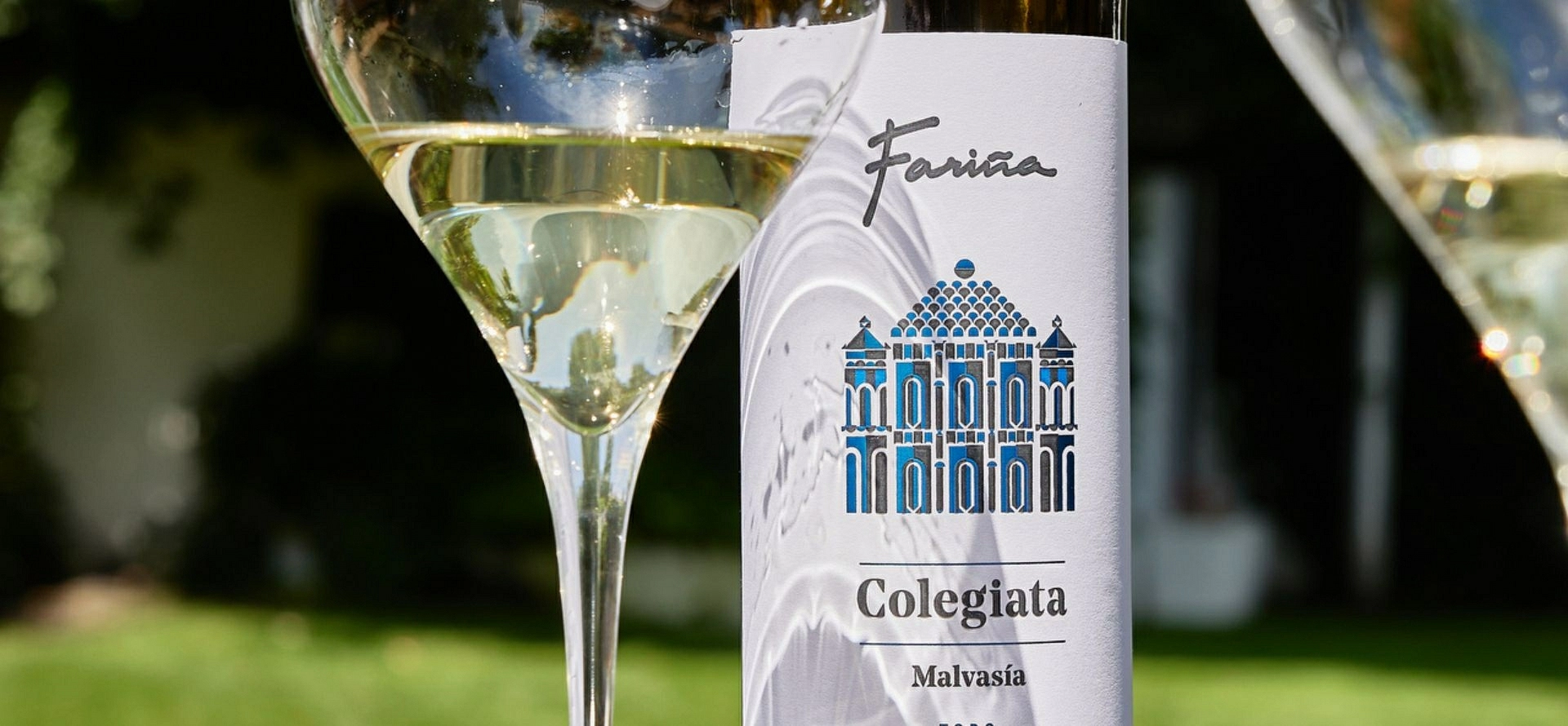 Colegiata Blanco