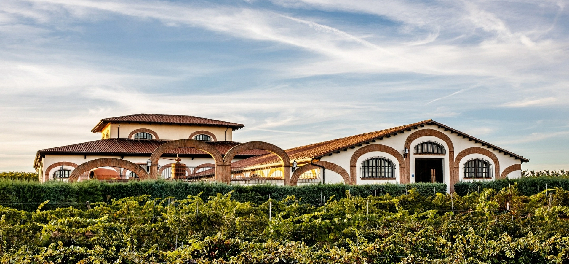 BODEGA Y VIÑEDOS LA BODEGA