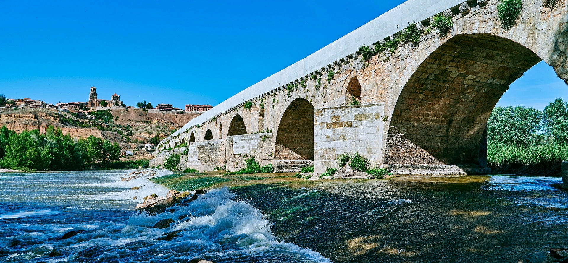 BODEGA Y VIÑEDOS D.O. TORO